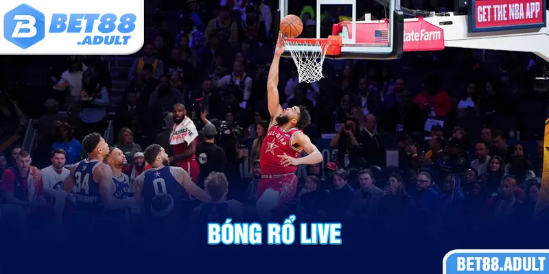 Bóng Rổ Live - Khám Phá Thế Giới Săn Thưởng Hot 2025