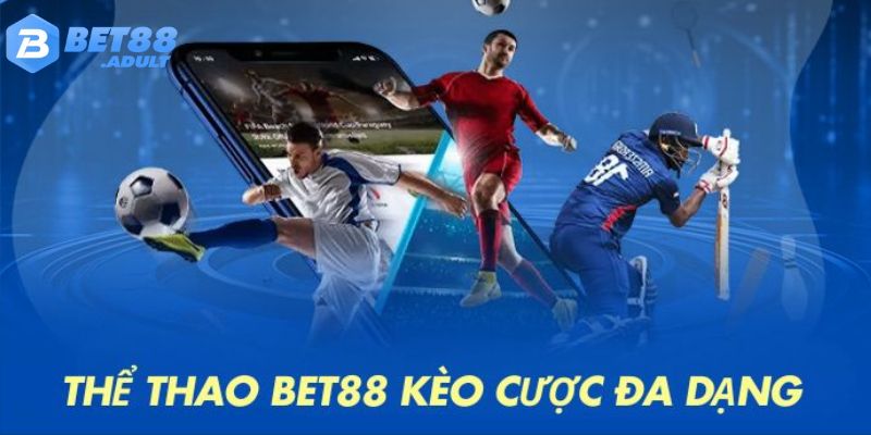 Kèo cược đa dạng 