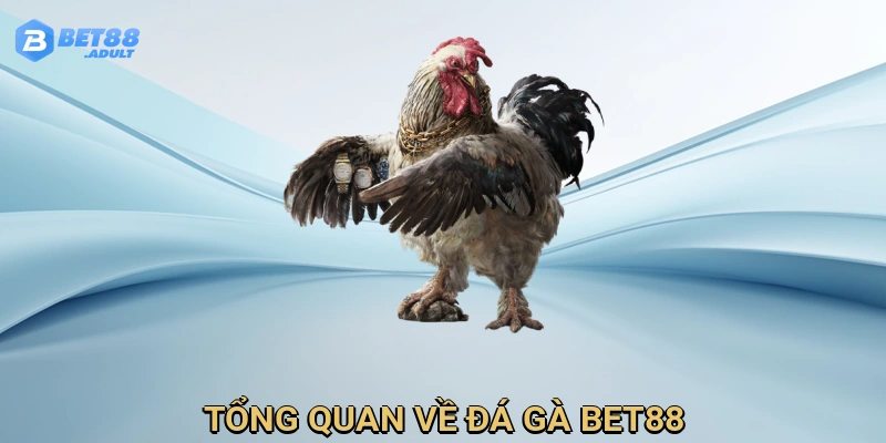 Giới thiệu đá gà BET88